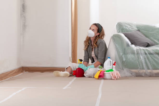 Reliable Mold Remediation contractor in Sharpsburg, MD by WQB Mold Removal